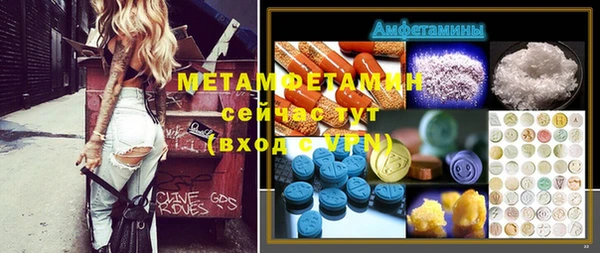 индика Бабаево