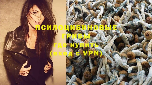 марки nbome Богданович