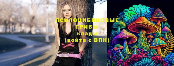 марки nbome Богданович