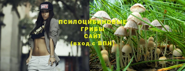 марки nbome Богданович