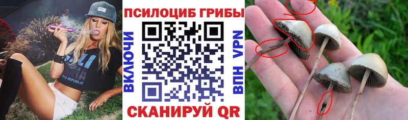 Галлюциногенные грибы мицелий  Воскресенск 